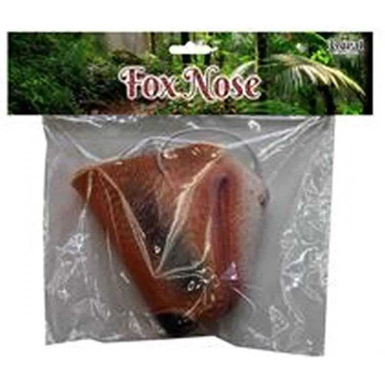 Book Week Fox Nose