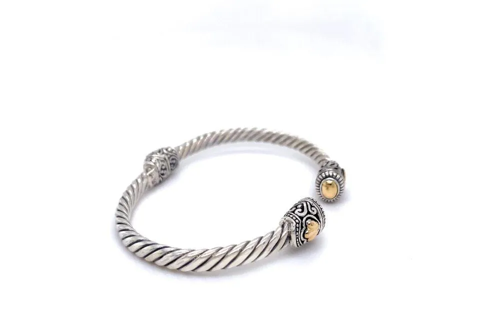 Corina Bangle