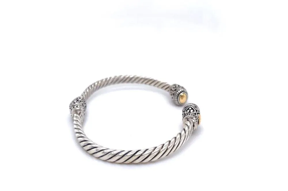 Corina Bangle