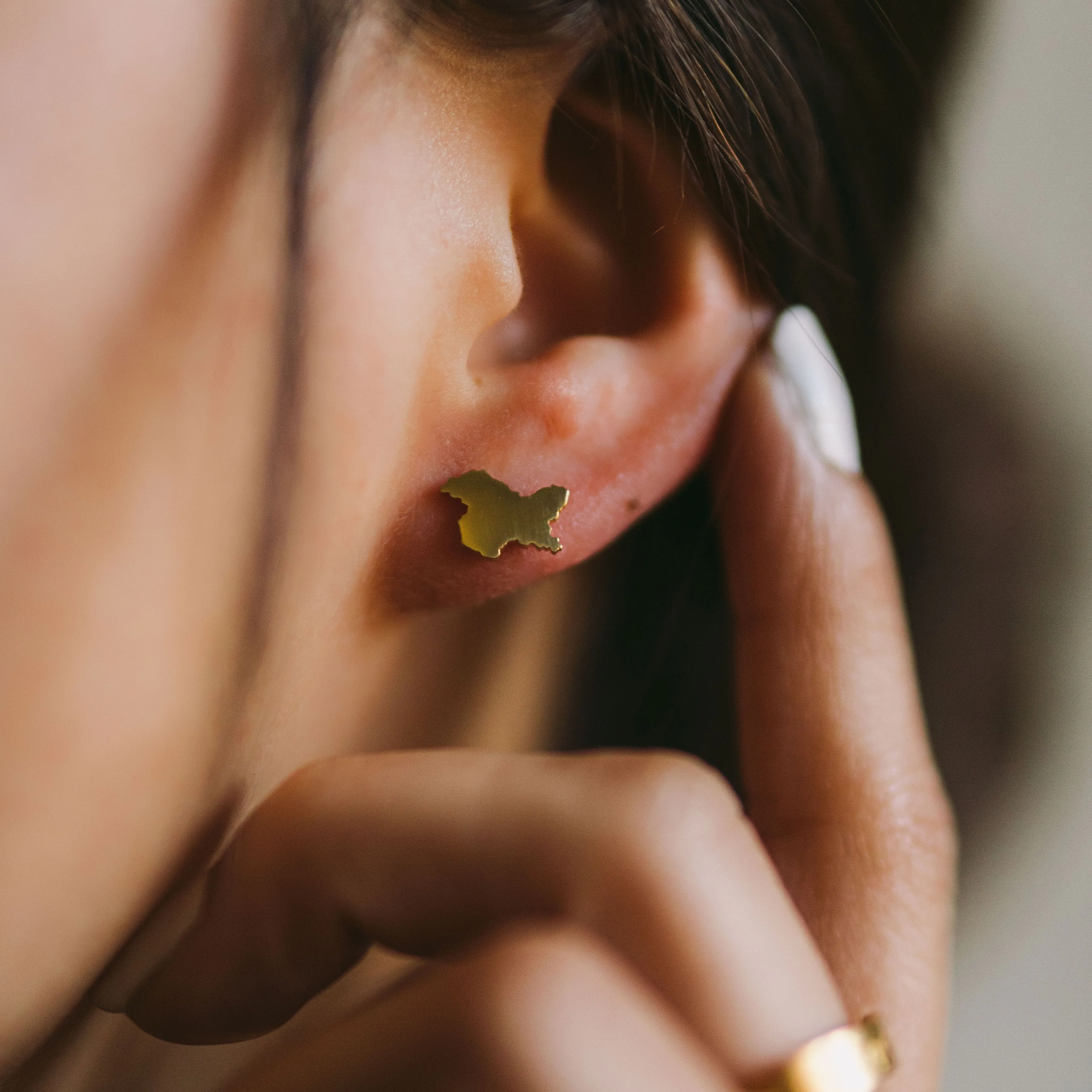 Country Stud Earrings