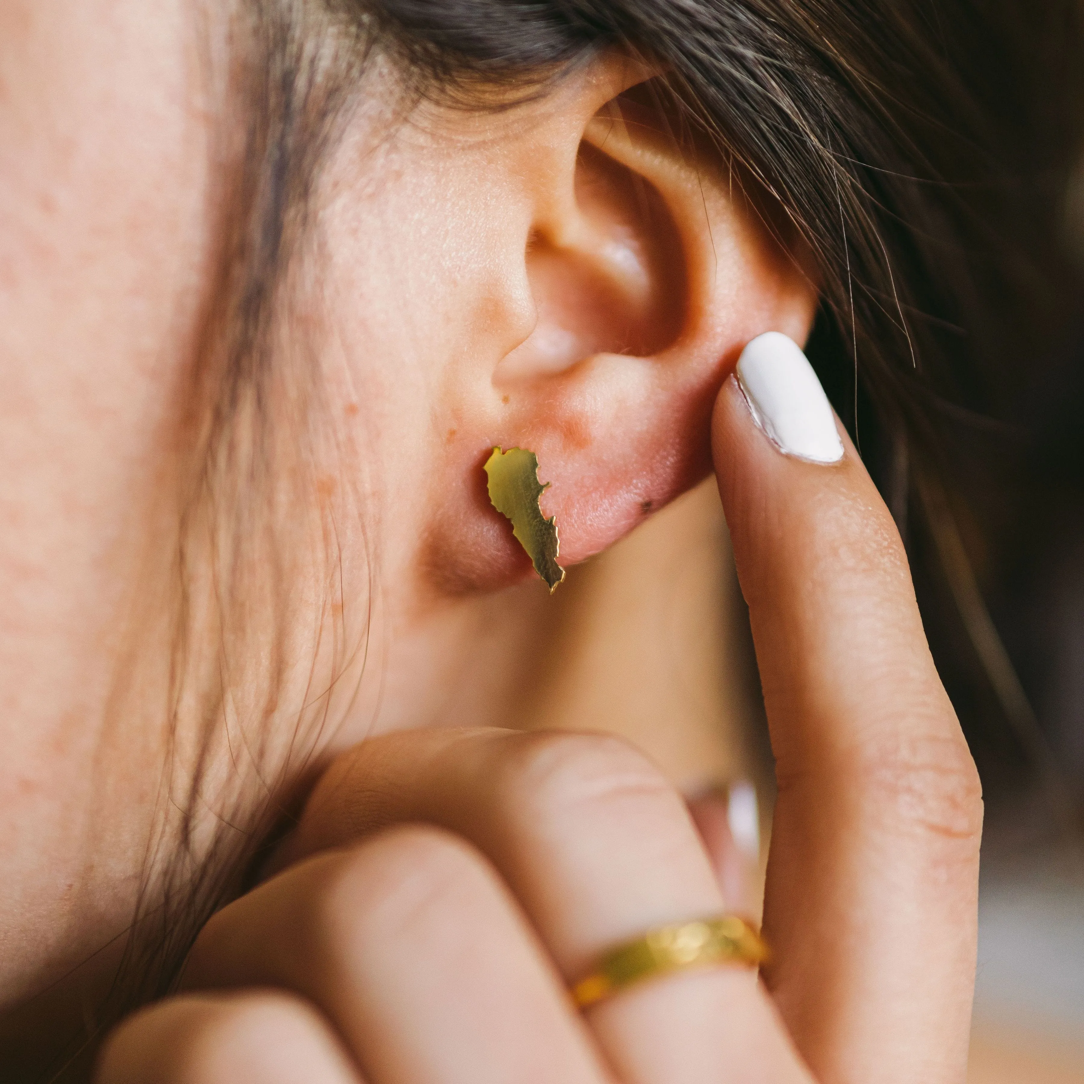 Country Stud Earrings