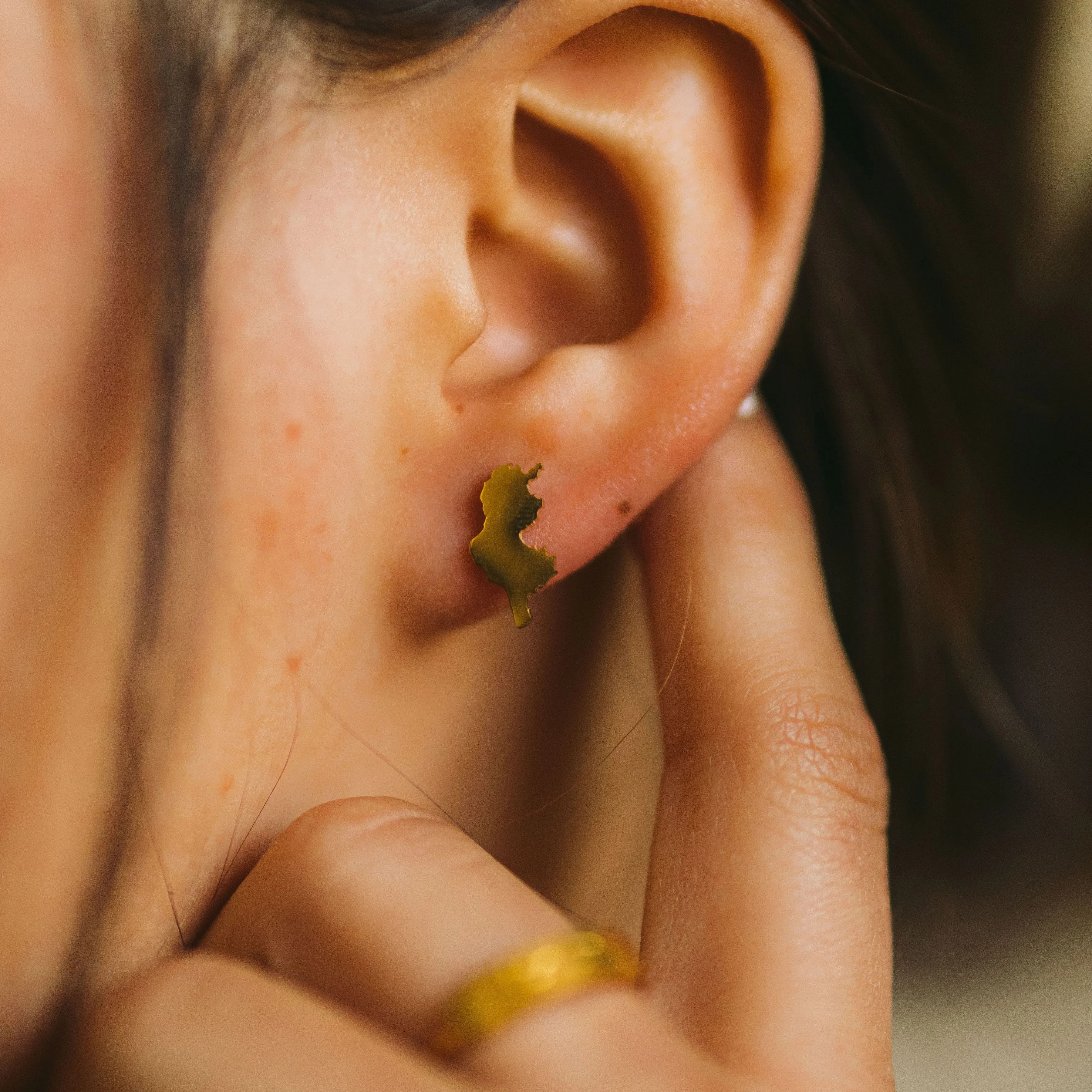 Country Stud Earrings