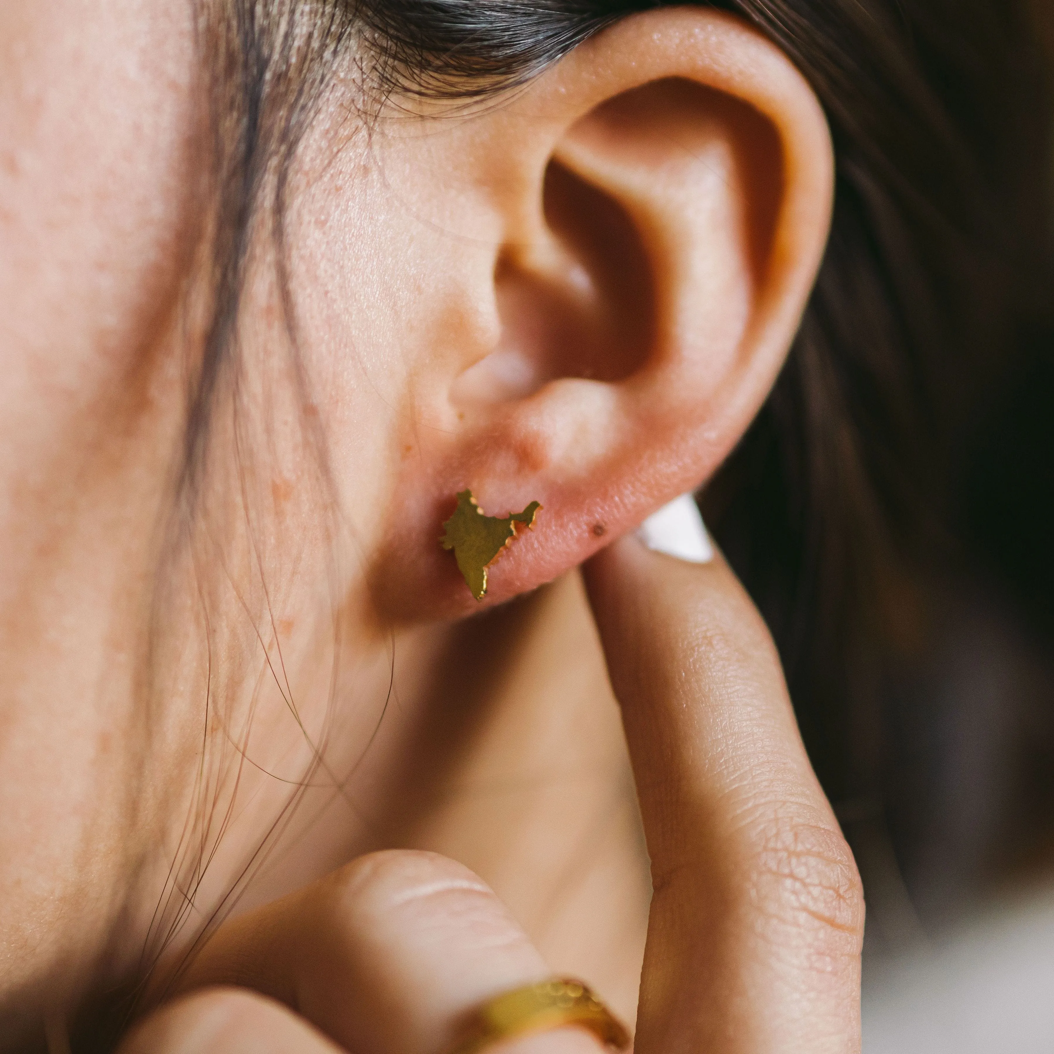 Country Stud Earrings