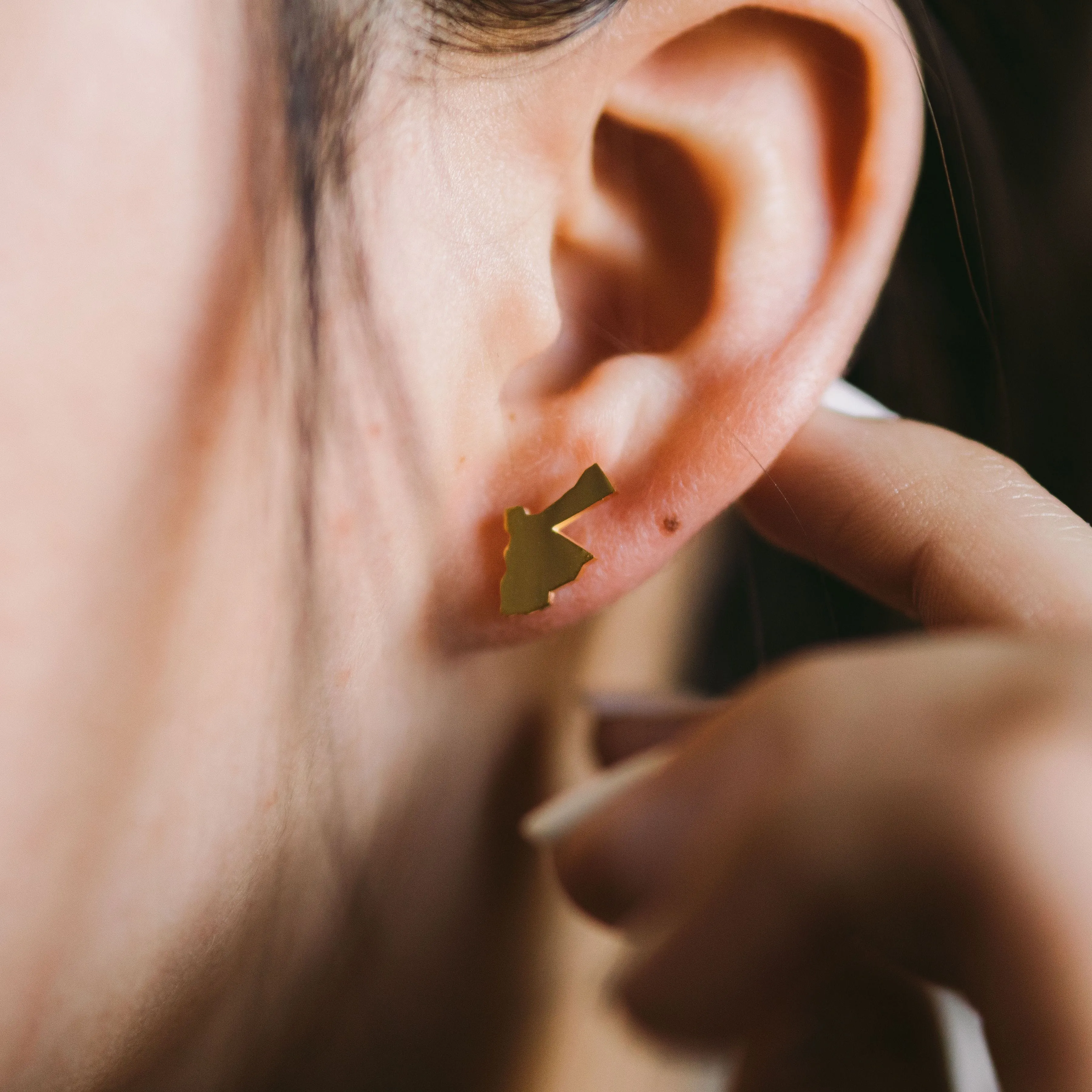 Country Stud Earrings