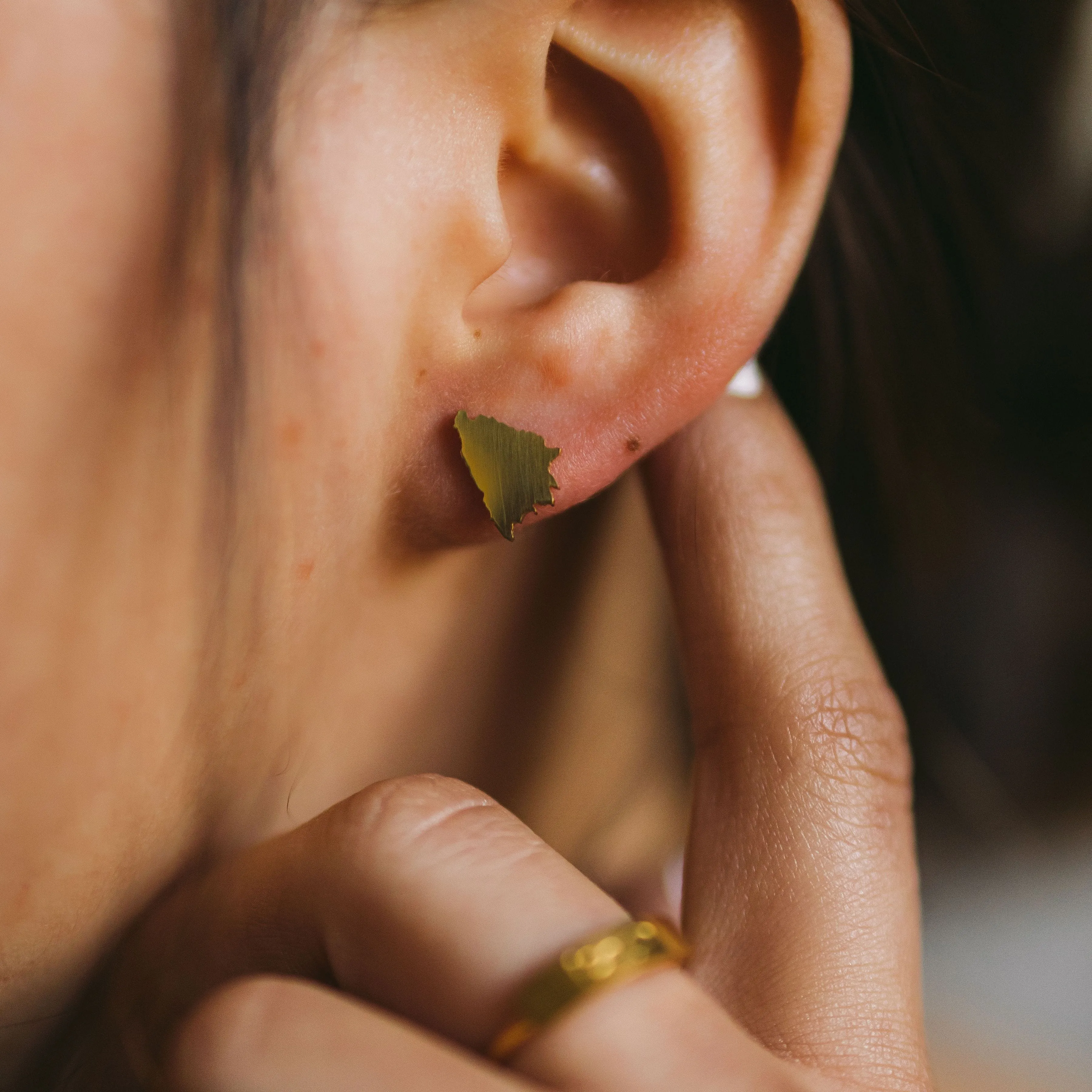 Country Stud Earrings