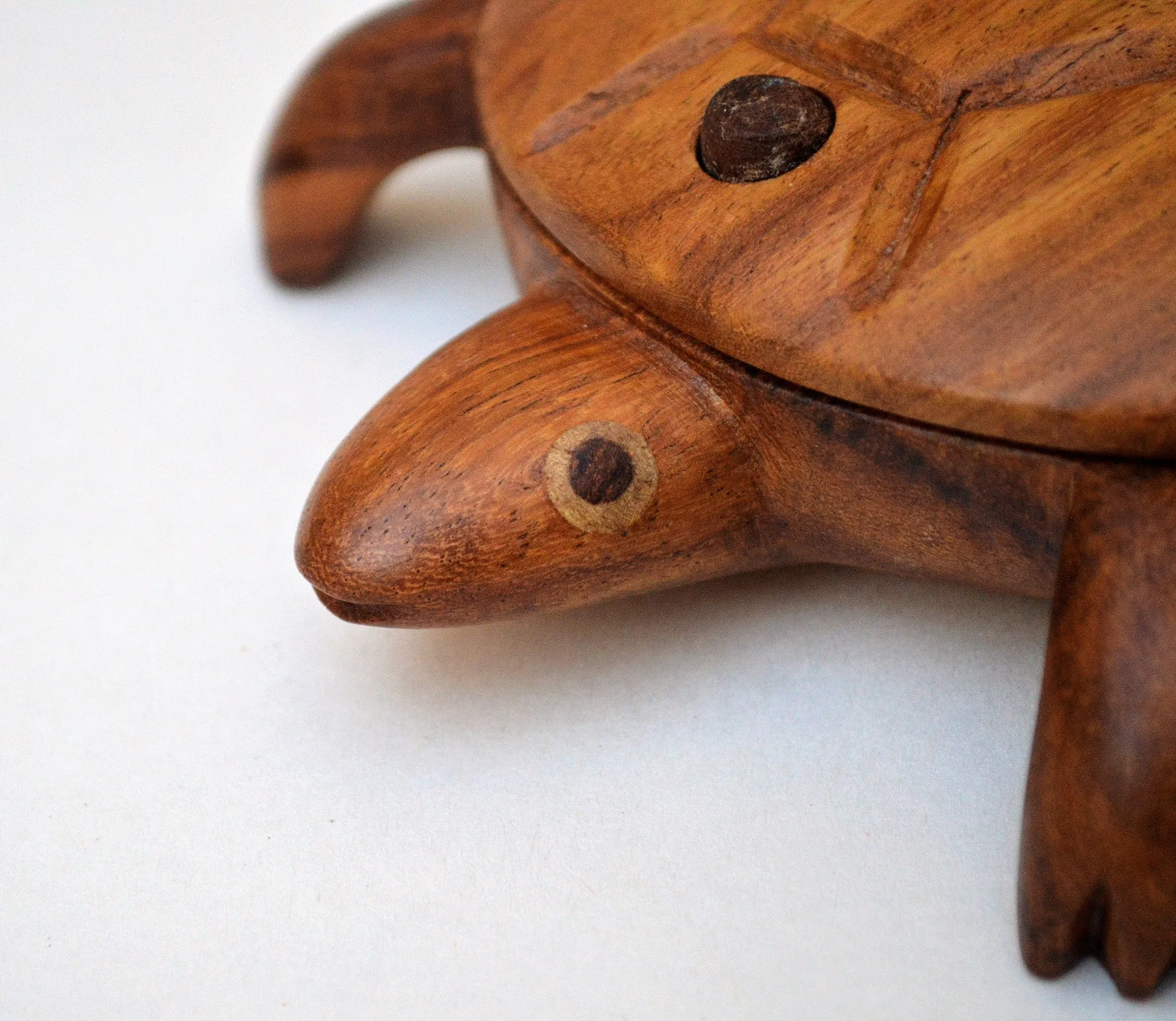 Hand-carved Turtle jewelry box  from Egypt