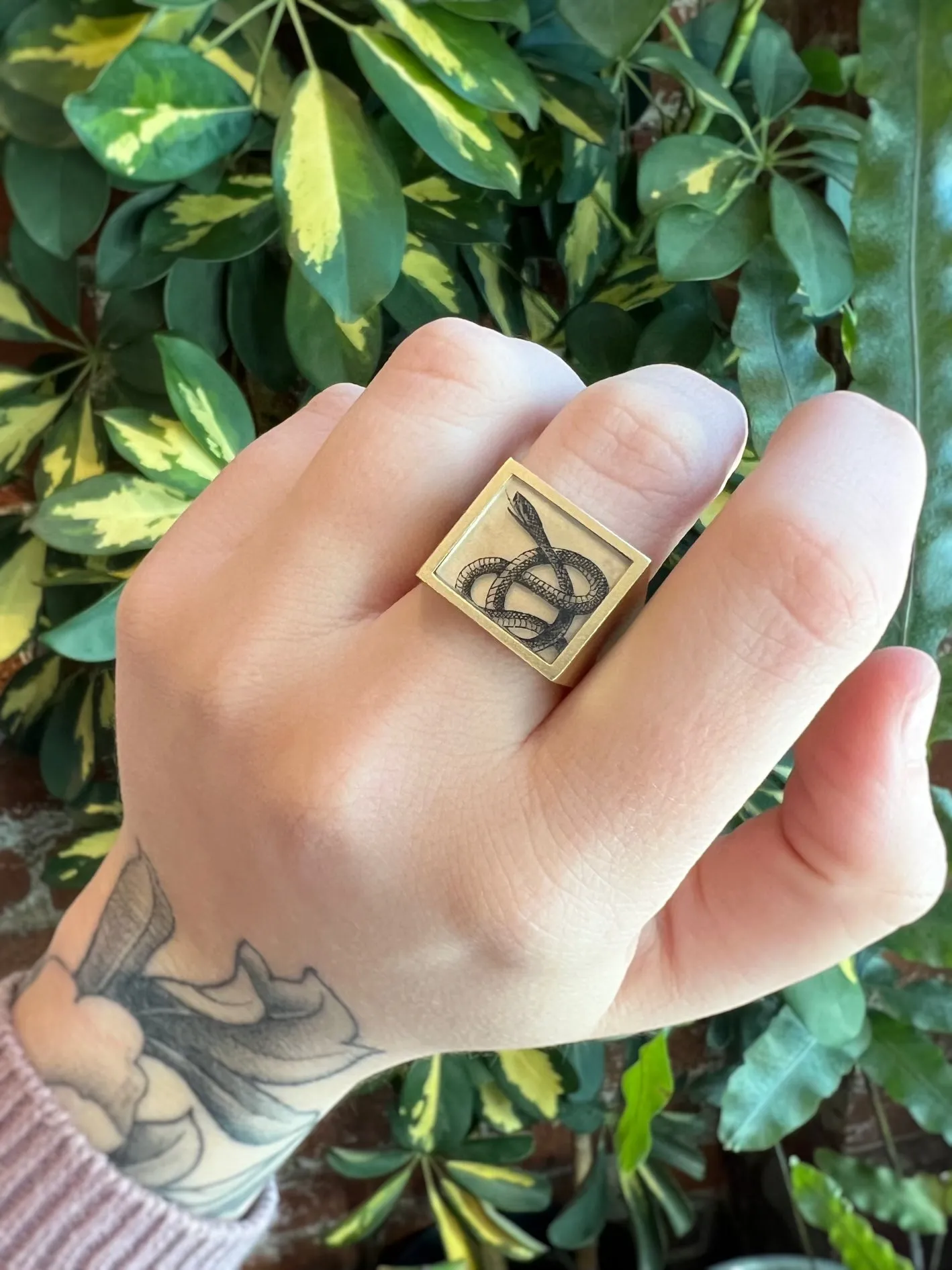 Rectangle Signet Ring, Serpent